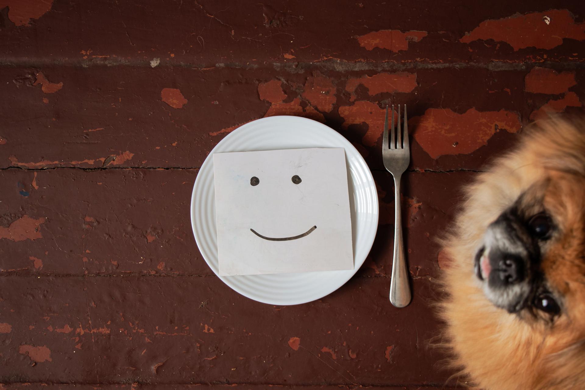 A drawing of a smile lies on a white empty plate on a wooden table, and next to it stands a Pekingese